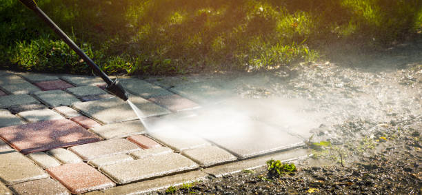 Best Roof Washing  in Brevard, NC